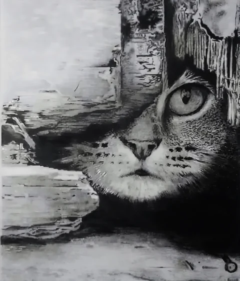 A cat's watchful eye emerging through a textured landscape