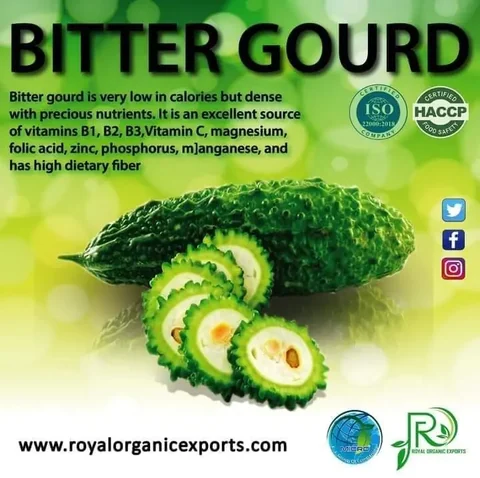 Bitter gourd information artwork for Royal Organic Exports
